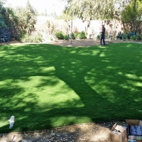 Artificial Grass Carpet Byron Center, Michigan Gardeners, Small Backyard Ideas