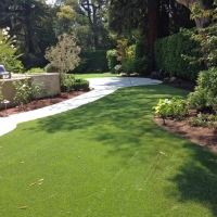 Artificial Grass Carpet Dansville, Michigan City Landscape, Backyard