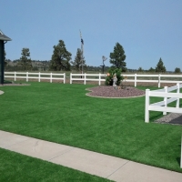 Artificial Grass Carpet Nashville, Michigan Landscaping Business, Backyard Landscape Ideas