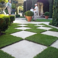 Artificial Grass Carpet Pearl Beach, Michigan Landscaping, Pavers