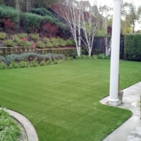 Artificial Grass Carpet Quincy, Michigan Cat Playground, Backyard Ideas