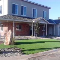 Artificial Grass Lathrup Village, Michigan Gardeners, Front Yard Landscaping Ideas