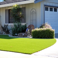 Artificial Grass Paw Paw, Michigan Design Ideas, Front Yard Ideas