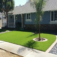 Artificial Grass White Pigeon, Michigan Lawn And Garden, Landscaping Ideas For Front Yard