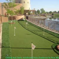 Artificial Lawn River Rouge, Michigan Landscaping, Backyard Landscaping Ideas