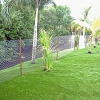 Artificial Lawn Robin Glen-Indiantown, Michigan Landscape Ideas, Backyards