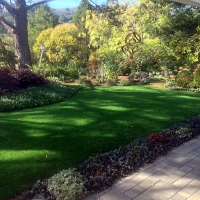 Artificial Lawn Wayne, Michigan Landscape Design, Backyard Designs