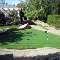 Artificial Turf Cedar Springs, Michigan Putting Green, Backyard Landscaping