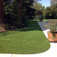 Artificial Turf Cost Clifford, Michigan Dog Grass, Front Yard Landscape Ideas