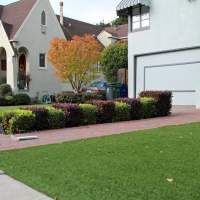 Artificial Turf Goodrich, Michigan Gardeners, Front Yard Landscaping Ideas