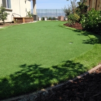 Artificial Turf Port Huron, Michigan Lawns, Backyard Designs