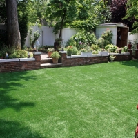 Artificial Turf Saint Johns, Michigan Home And Garden, Backyard