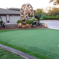 Best Artificial Grass Delton, Michigan City Landscape, Front Yard Design