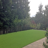 Best Artificial Grass Lupton, Michigan Landscaping Business, Backyard Ideas