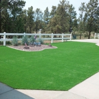 Fake Grass Carpet Canton, Michigan Roof Top, Front Yard