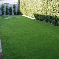 Fake Grass Carpet Grand Rapids, Michigan Cat Playground, Backyard Garden Ideas