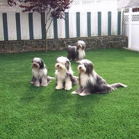 Fake Grass Houghton Lake, Michigan Landscape Ideas, Dog Kennels