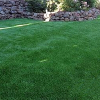 Fake Lawn Caseville, Michigan Drainage, Small Backyard Ideas