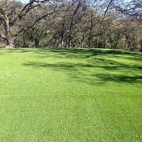 Fake Lawn Fairgrove, Michigan Landscaping, Parks