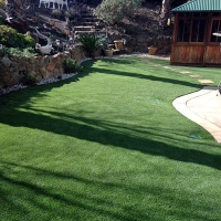 Fake Turf Eaton Rapids, Michigan Landscape Ideas, Backyard Landscaping