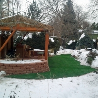 Fake Turf Olivet, Michigan City Landscape, Backyard Garden Ideas