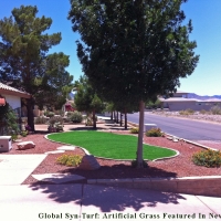 Faux Grass Grosse Pointe Park, Michigan Landscape Rock, Front Yard