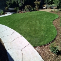 Faux Grass Homer, Michigan Backyard Playground, Front Yard Design