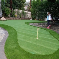 Grass Carpet Ann Arbor, Michigan Putting Green Carpet, Backyard Landscaping Ideas