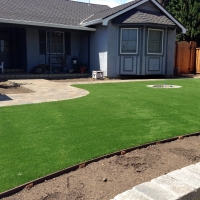 Grass Carpet Chelsea, Michigan Lawn And Garden, Landscaping Ideas For Front Yard