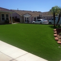 Grass Carpet Clayton, Michigan Landscape Ideas, Front Yard Landscaping Ideas