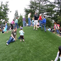 Grass Turf Beal City, Michigan Gardeners, Recreational Areas