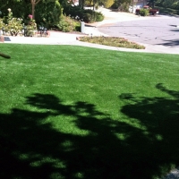 Green Lawn Melvindale, Michigan City Landscape, Front Yard Landscaping