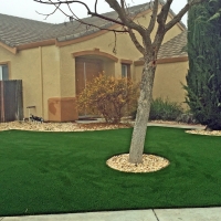 Green Lawn Montgomery, Michigan Landscaping, Front Yard