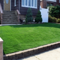 Green Lawn Waverly, Michigan Lawns, Front Yard