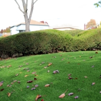 How To Install Artificial Grass Britton, Michigan Gardeners, Front Yard Landscaping