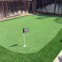 Outdoor Carpet Belleville, Michigan Putting Green, Backyard Landscaping Ideas