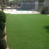 Outdoor Carpet Sterling Heights, Michigan Landscaping Business, Backyard Ideas