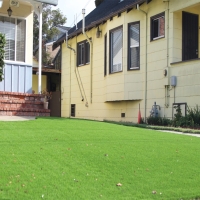 Plastic Grass Byron, Michigan Roof Top, Front Yard Landscaping