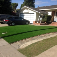 Plastic Grass Grand Haven, Michigan Rooftop, Front Yard Landscaping