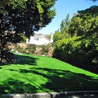 Plastic Grass Shelby, Michigan Backyard Playground, Backyard