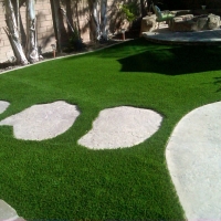 Synthetic Grass Cost Manchester, Michigan Landscape Photos, Backyards