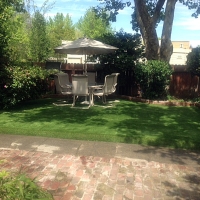 Synthetic Grass Cost South Rockwood, Michigan Home And Garden, Backyard