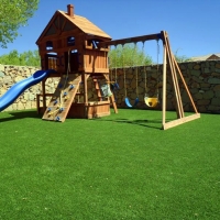 Synthetic Grass Lyons, Michigan Garden Ideas, Backyard Landscaping