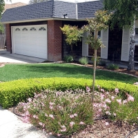 Synthetic Grass Oakley, Michigan Landscape Photos, Front Yard Ideas