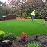 Synthetic Lawn Highland Park, Michigan Lawn And Landscape, Backyard Ideas