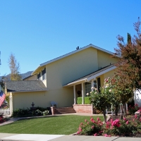 Synthetic Turf Metamora, Michigan Landscaping, Front Yard Landscaping