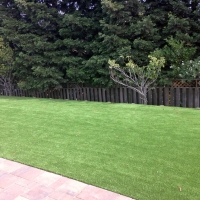 Synthetic Turf Supplier Evart, Michigan Backyard Deck Ideas, Backyards