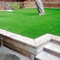 Turf Grass Centreville, Michigan Backyard Playground, Backyard Garden Ideas