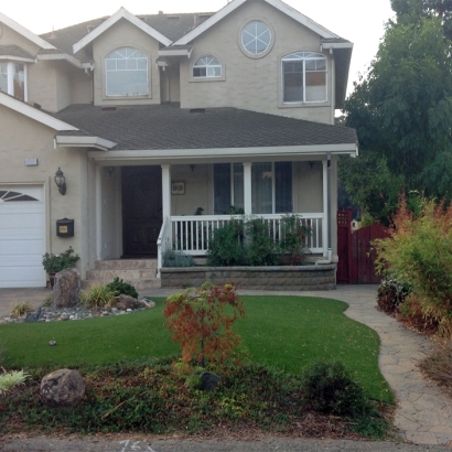 Artificial Grass Carpet Addison, Michigan Landscape Ideas, Front Yard