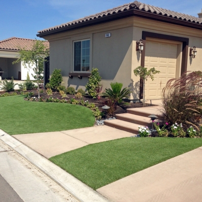 Artificial Grass Carpet Argentine, Michigan Paver Patio, Landscaping Ideas For Front Yard